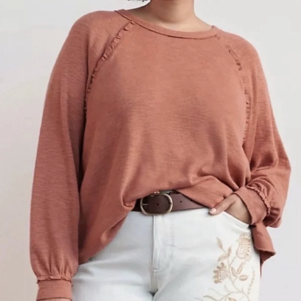 Pilcro Anthropologie Diana Women's Brown pullover Top M - Picture 1 of 7